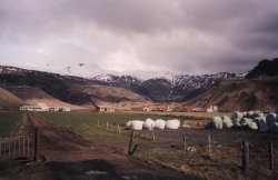 Icelandic farms